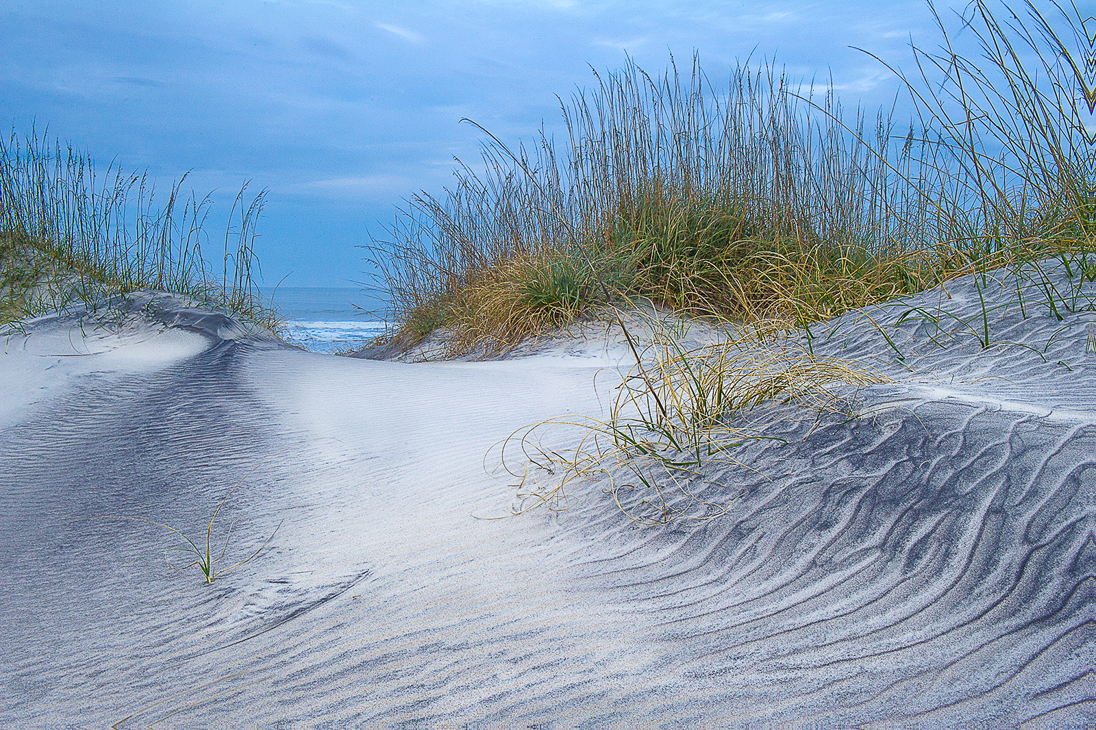 Dunes at Dusk