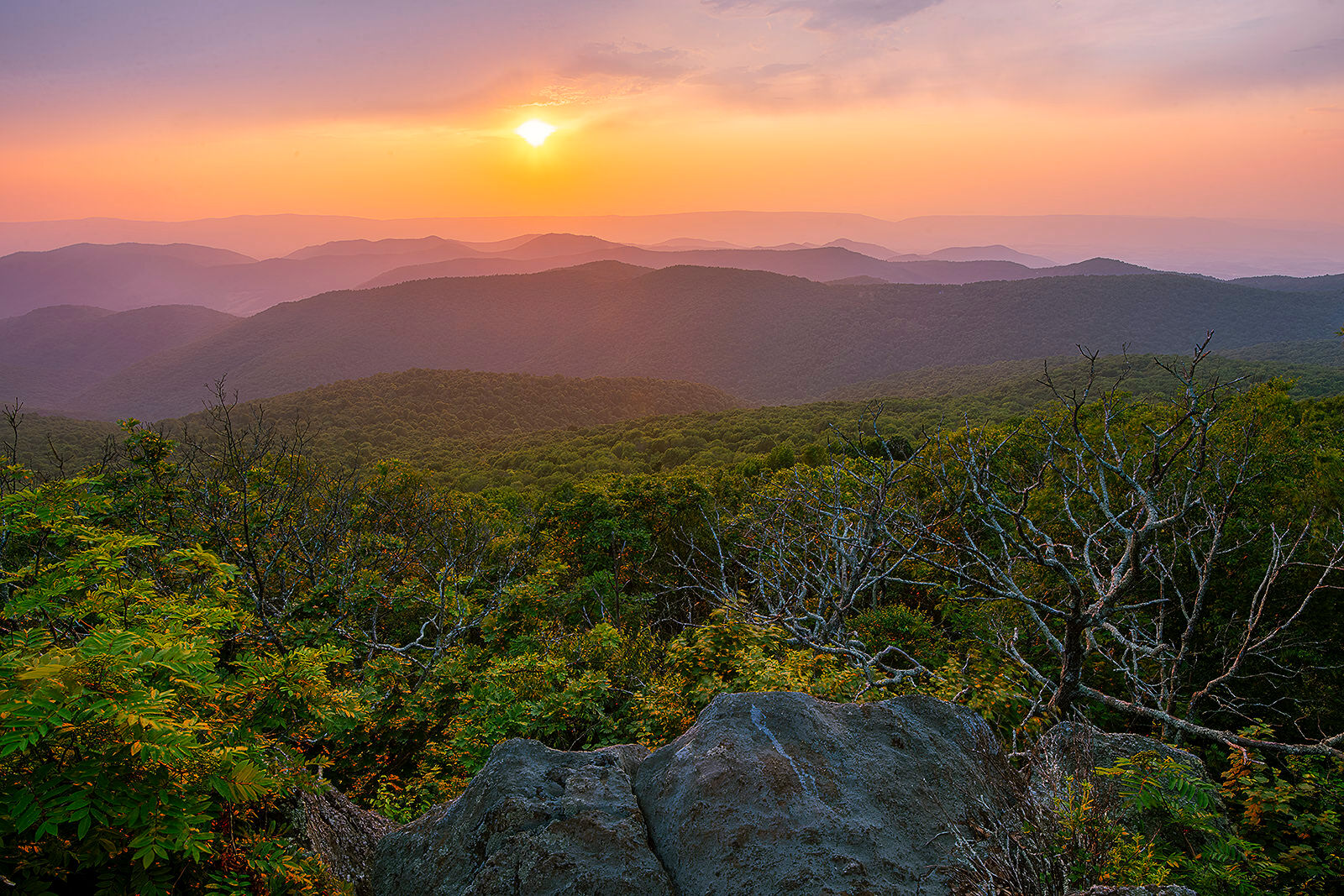 Shenandoah NP, United States, Virginia