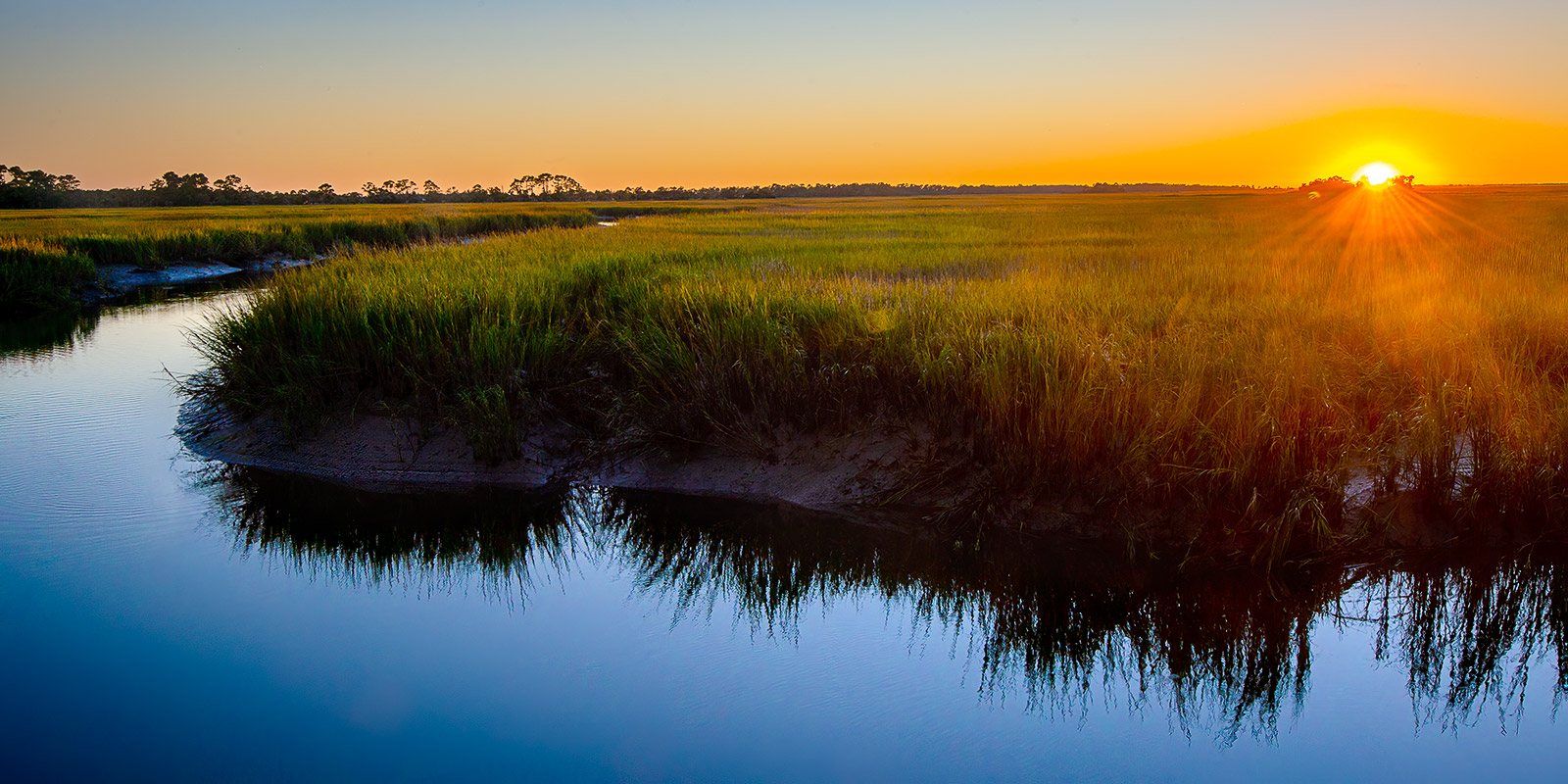 Marsh Splendor